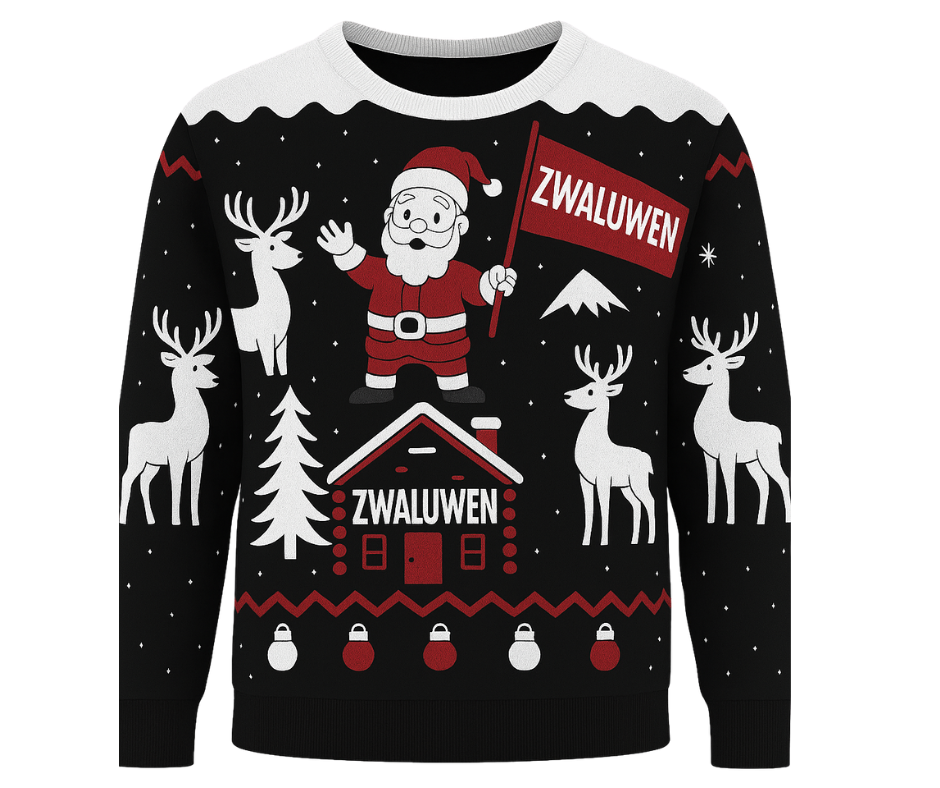 Zwaluwen - Kerst sweater