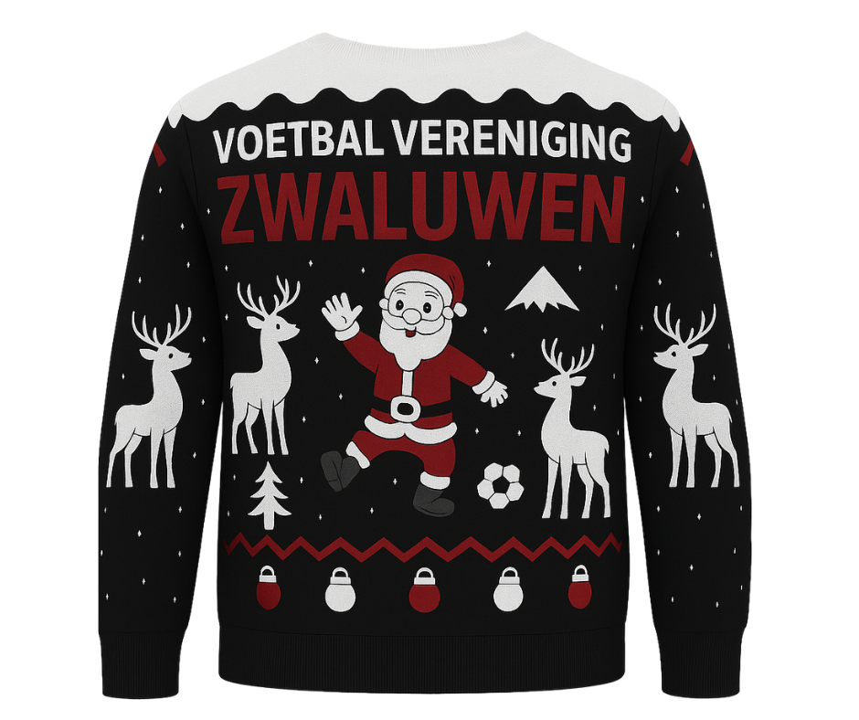 Zwaluwen - Kerst sweater