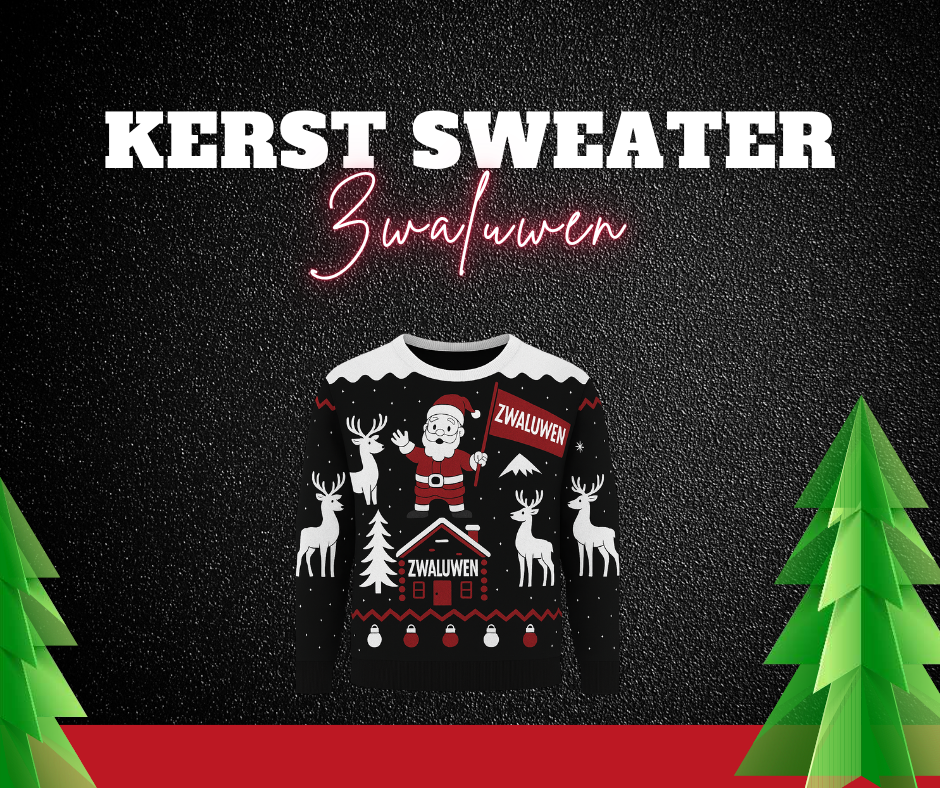 Zwaluwen - Kerst sweater