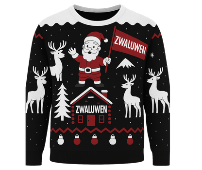 Zwaluwen - Kerst sweater